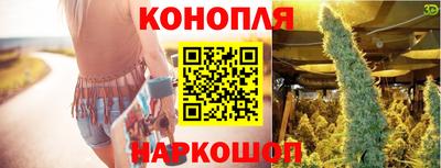 стафф Донецк