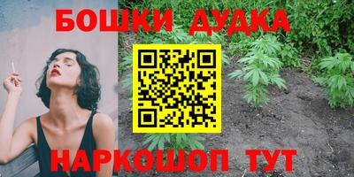 стафф Донецк