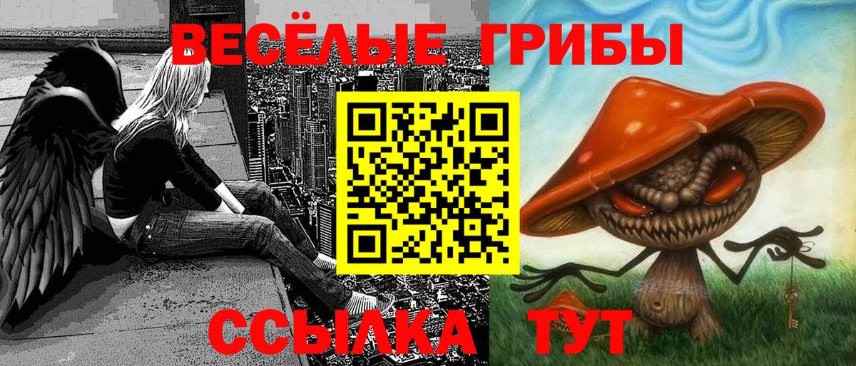 Галлюциногенные грибы Psilocybe  Вход с VPN  Полысаево 