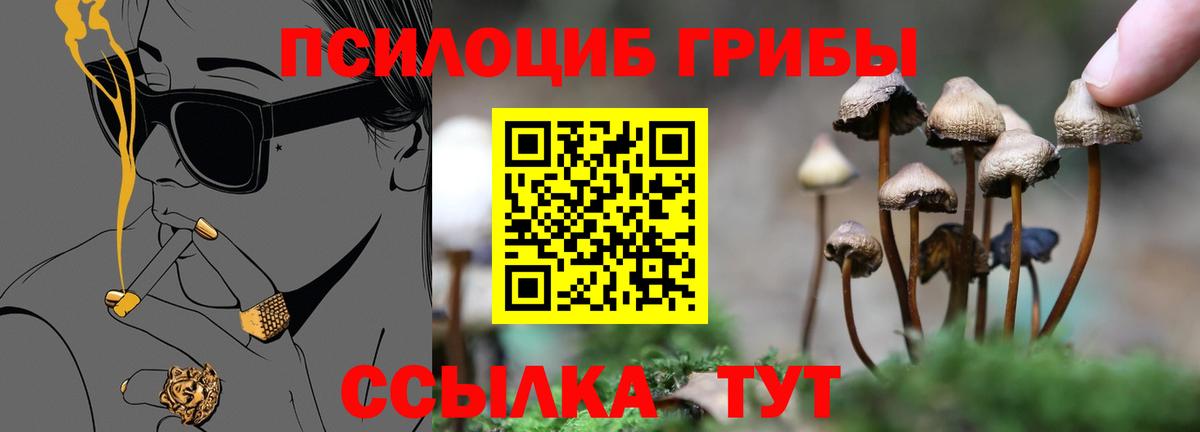 Галлюциногенные грибы Magic Shrooms Полысаево
